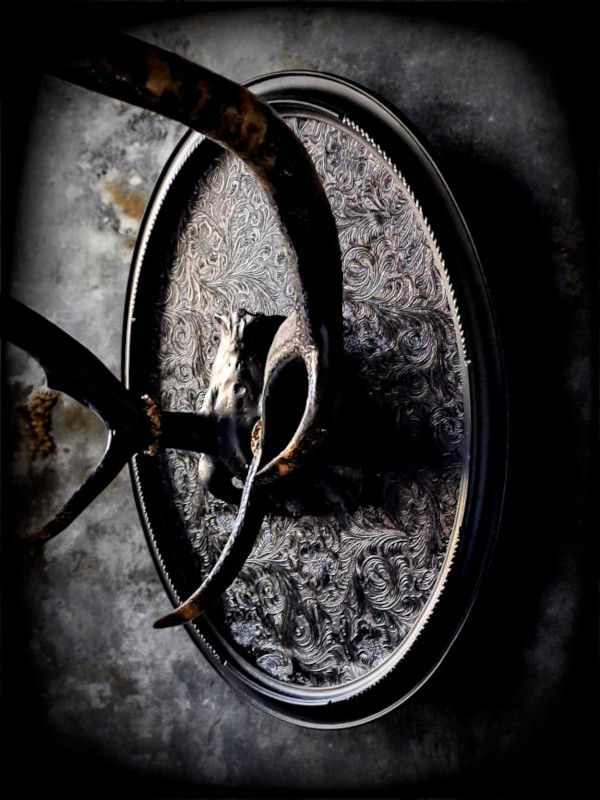 Massacre de cerf encadré