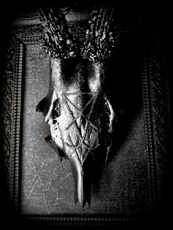 Lvcifer's disciple (chevreuil)