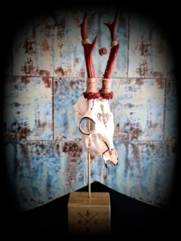 Wardruna (chevreuil)