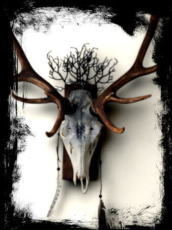 Wyrd ( Crâne de cerf )